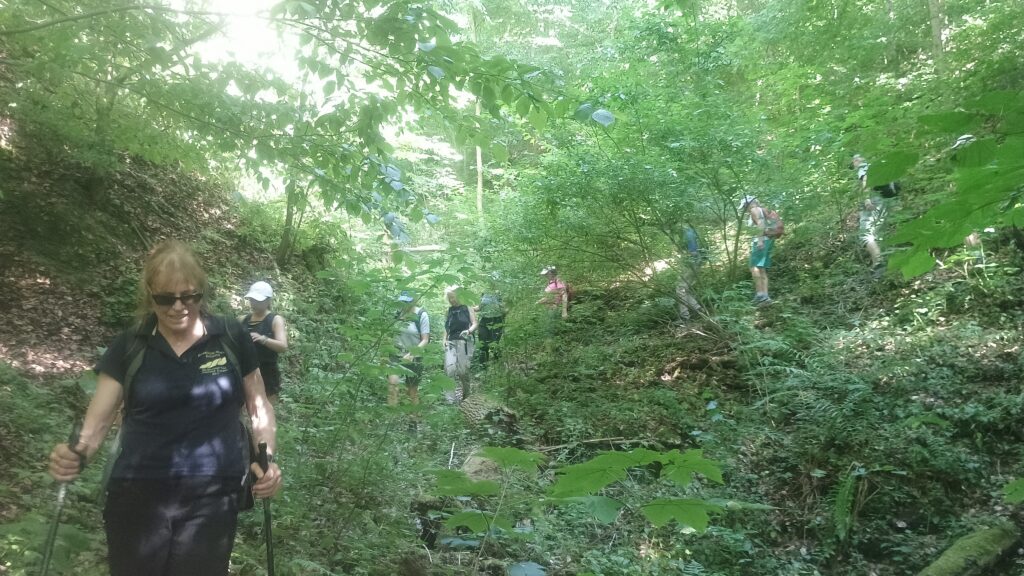Schlucht zwischen Ödenturm und Helfenstein