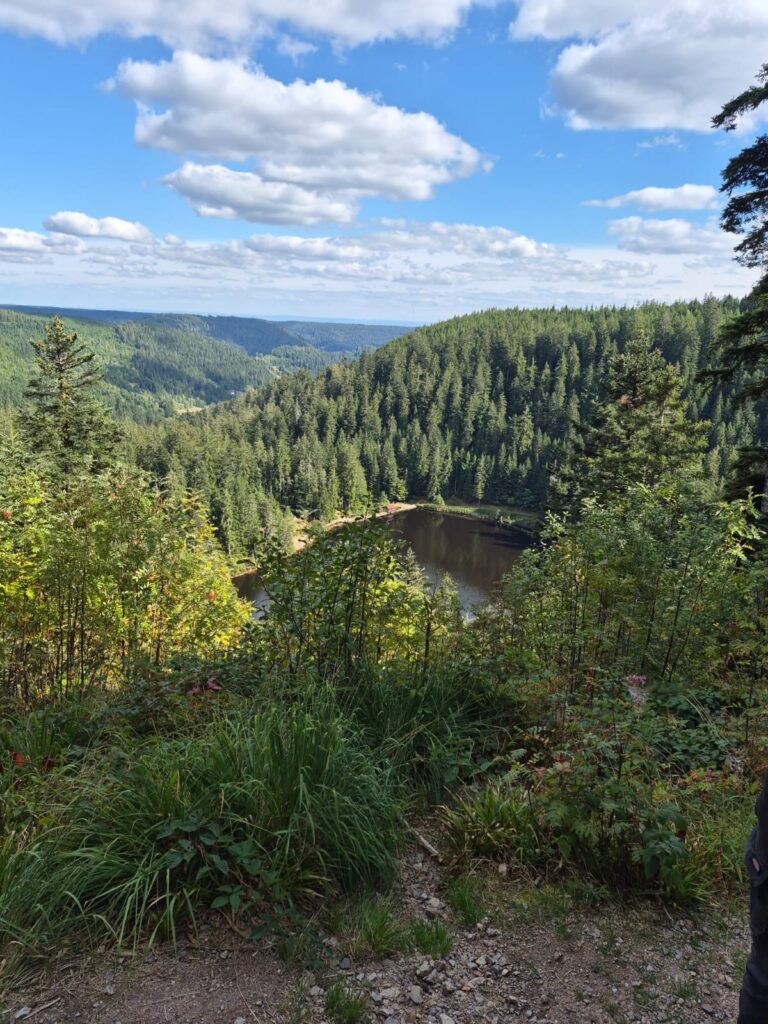 Blick hinunter auf den See