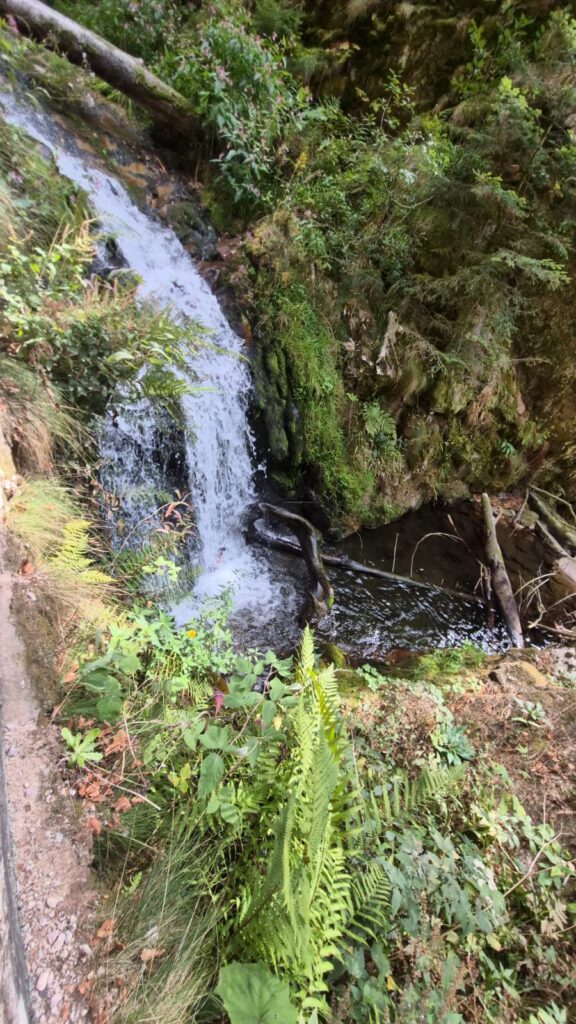Plätscherndes Wasser am Lierbach